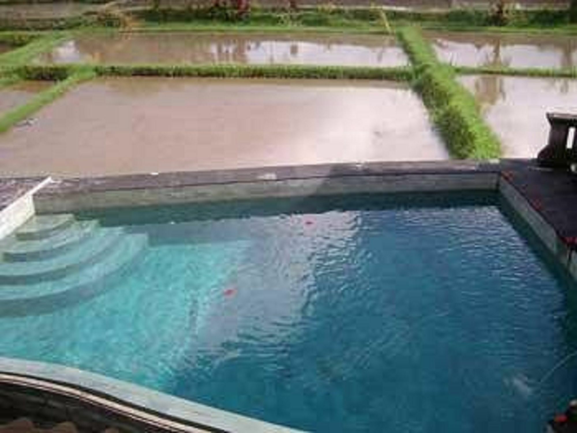 Ala'S Green Lagoon Ουμπούντ Εξωτερικό φωτογραφία